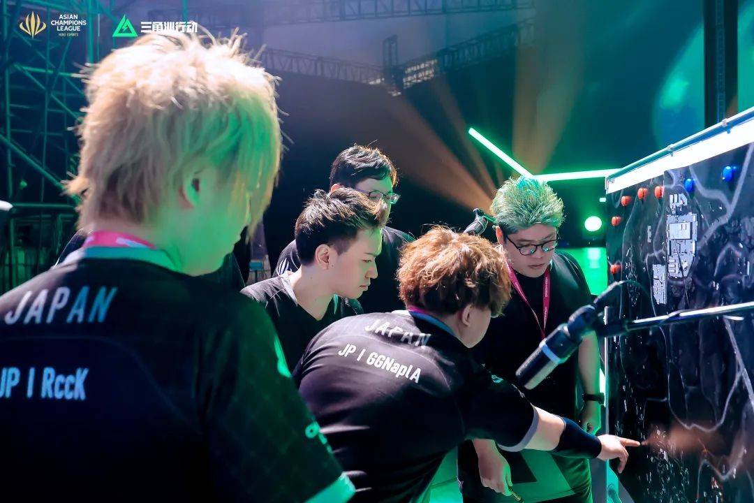 他们指出 他们指出