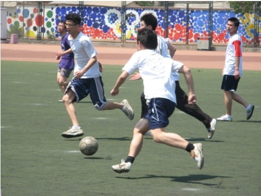 补偿或置换 补偿或置换